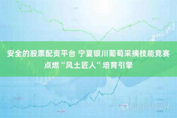 安全的股票配资平台 宁夏银川葡萄采摘技能竞赛点燃“风土匠人”培育引擎